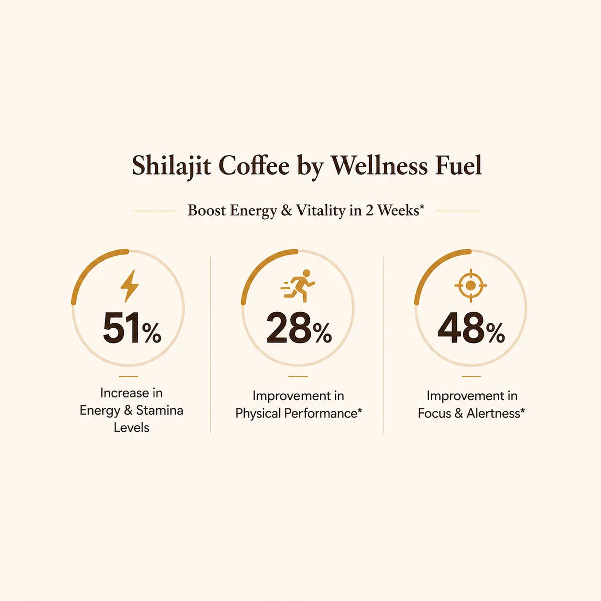 Shilajit Coffee by Wellness Fuel